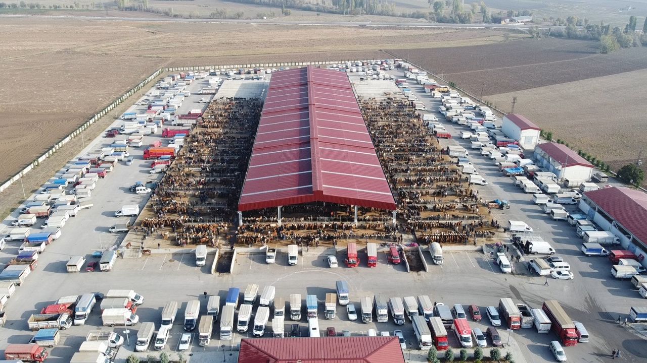 Hayvan Pazarı açılıyor
