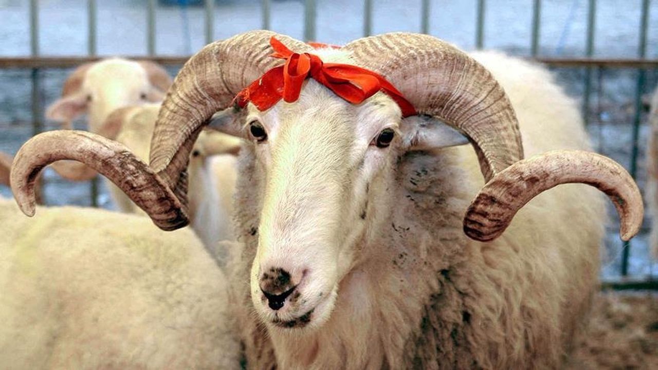 Kurban hizmetlerine  dair tebliğ yayınlandı