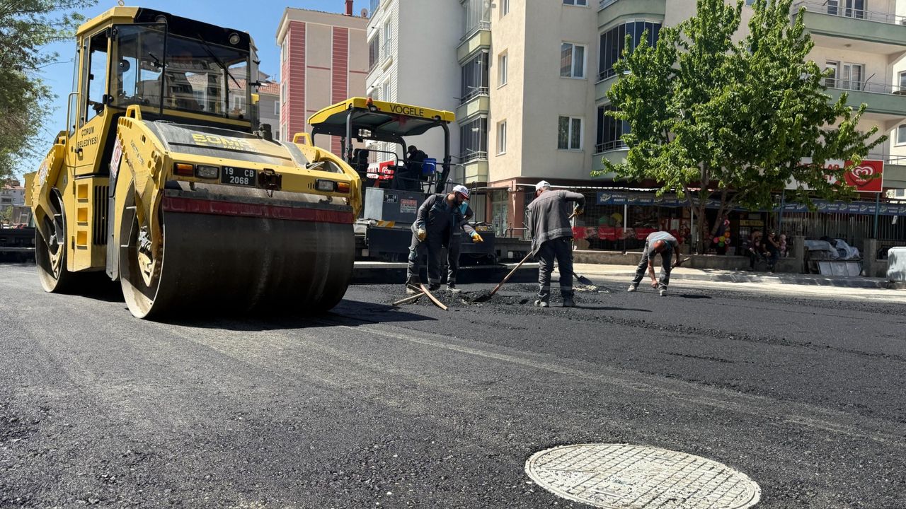 Mahmut Evler 6. Sokak yenilendi