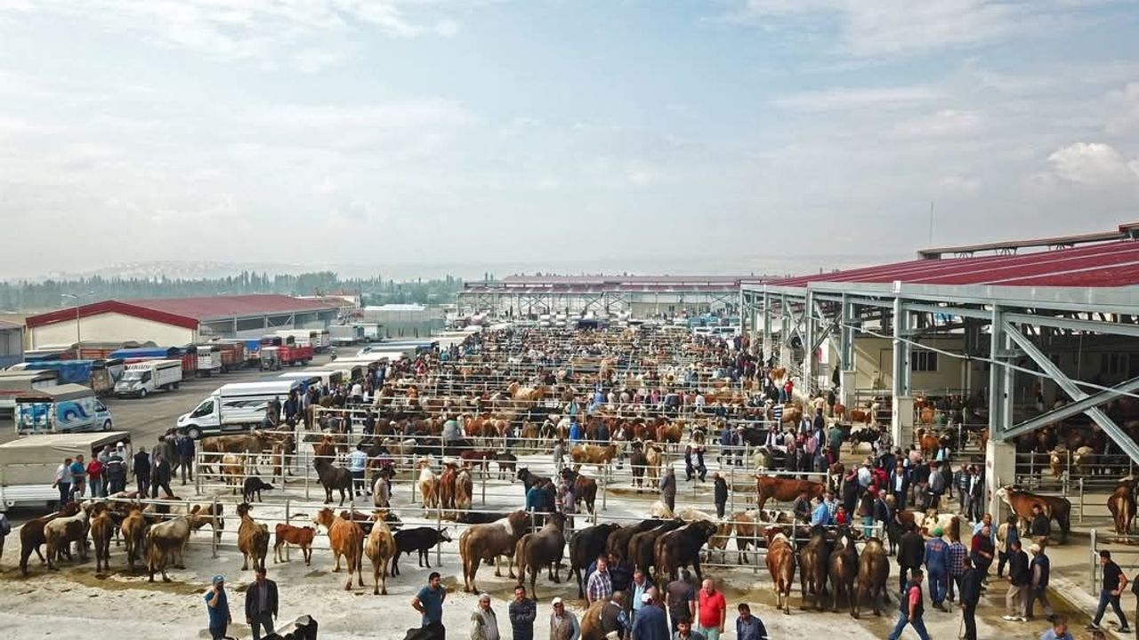 Çorum’da hayvan pazarları kapatıldı