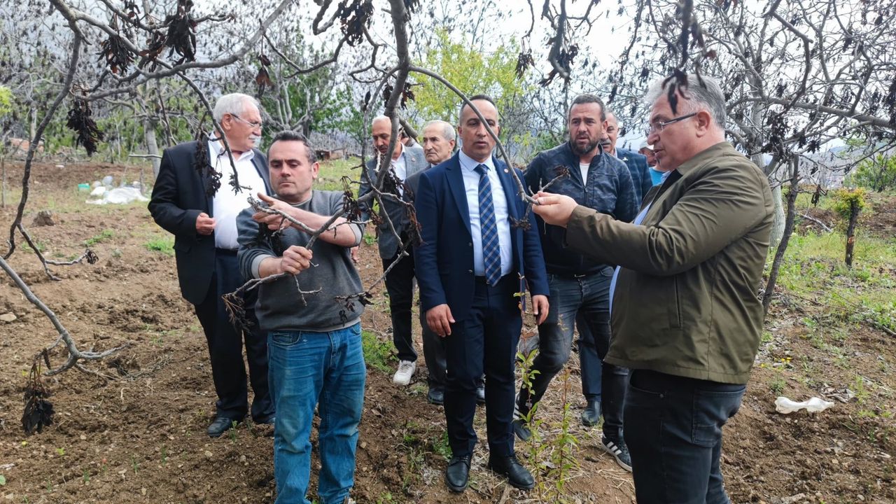Solmaz: “Oğuzlar ve çevresi  doğal afet kapsamına alınmalı”