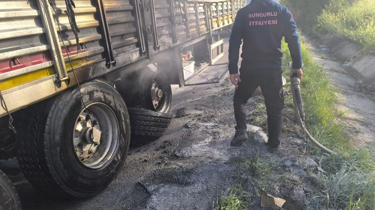 Seyir halindeki tırın dorsesi alev aldı: 1 yaralı
