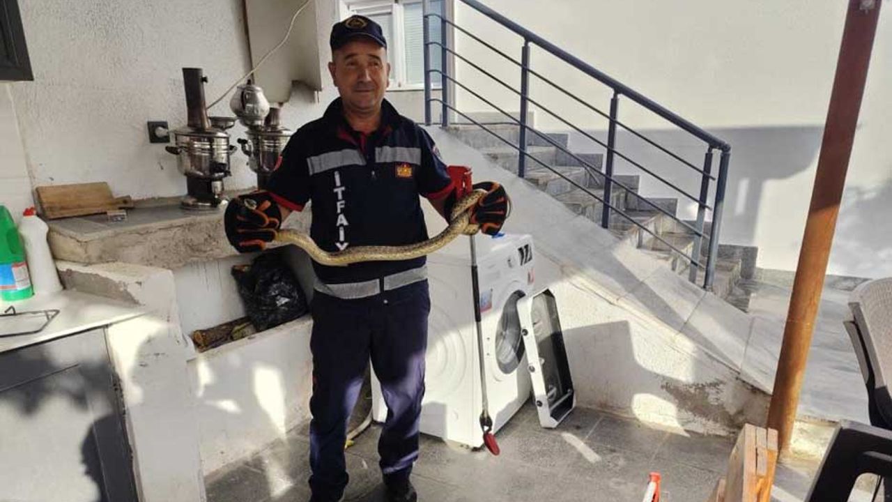 Eve giren yılan itfaiye ekiplerini seferber etti