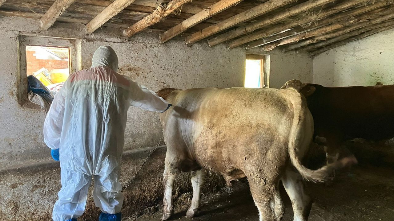 Kurban Bayramı öncesi  denetimler devam ediyor