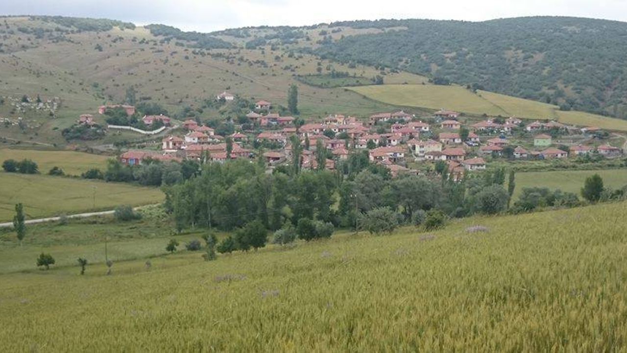 Çorum'da 65 hazine arazisi satışa çıkarıldı! İşte o köyler ve ihale tarihi...