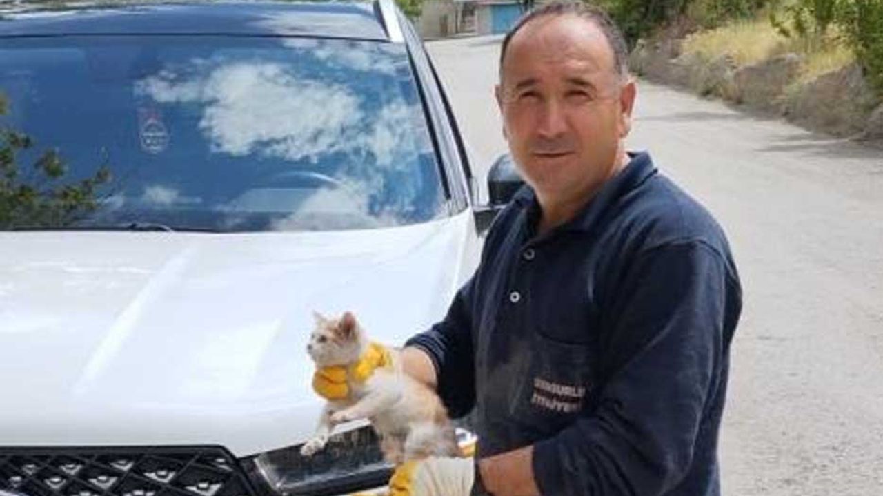 Cipin motor kısmına sıkışan yavru kediyi itfaiye kurtardı