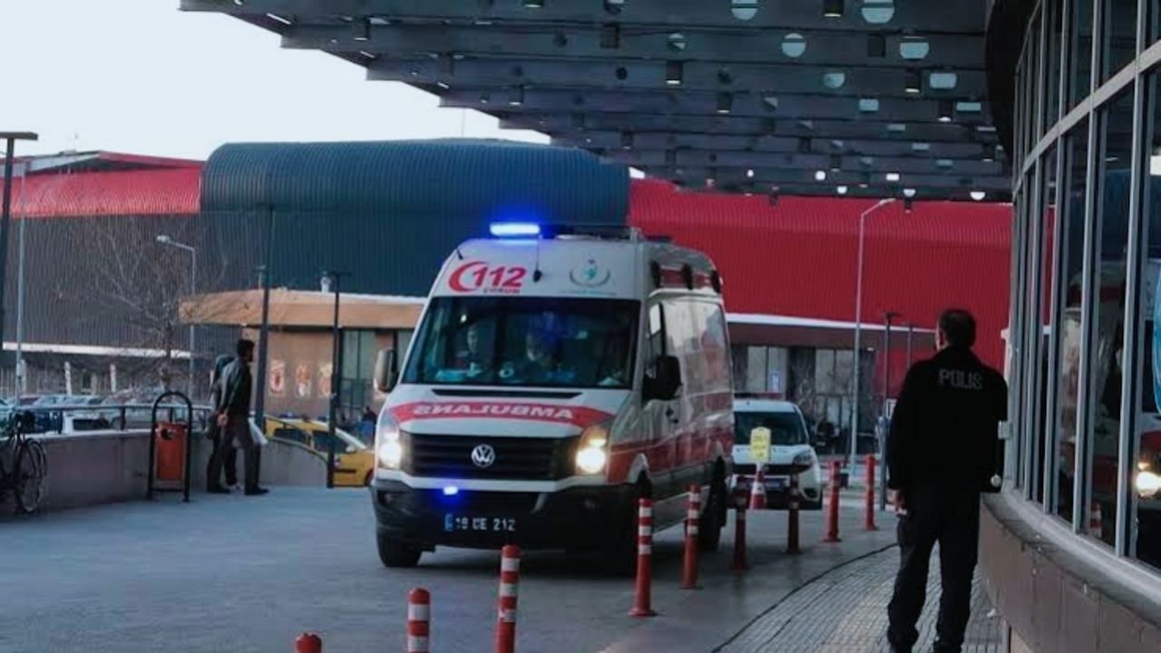 Köpek saldırısına uğrayan 2 kişi yaralandı