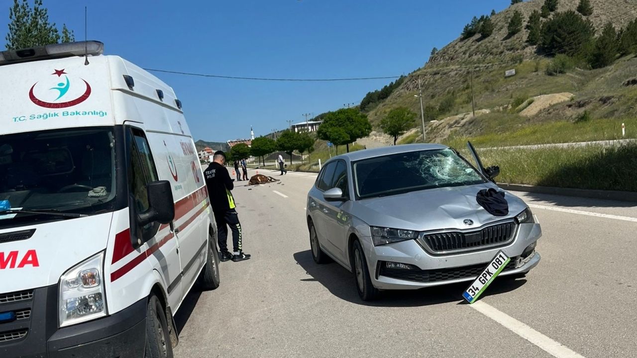 Çorum'da otomobil ineğe çarptı