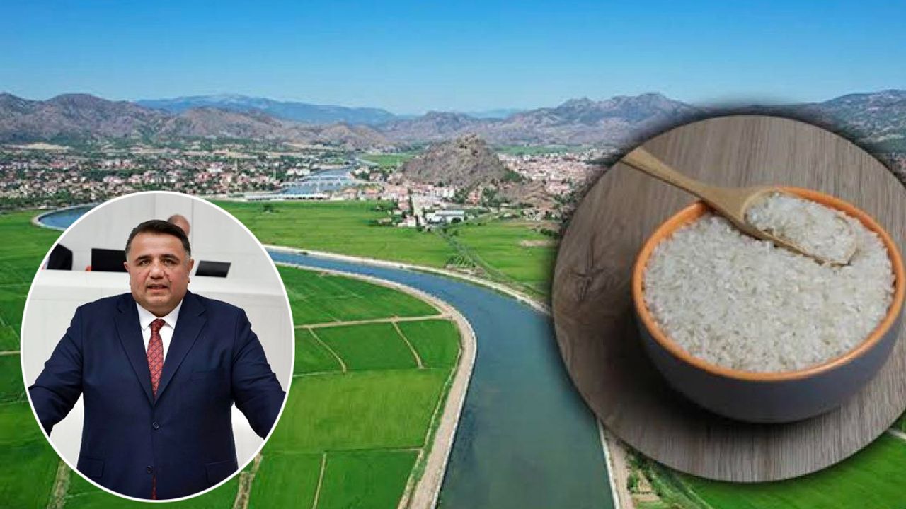 Obruk Barajı’ndan çeltik  ekimine can suyu verildi