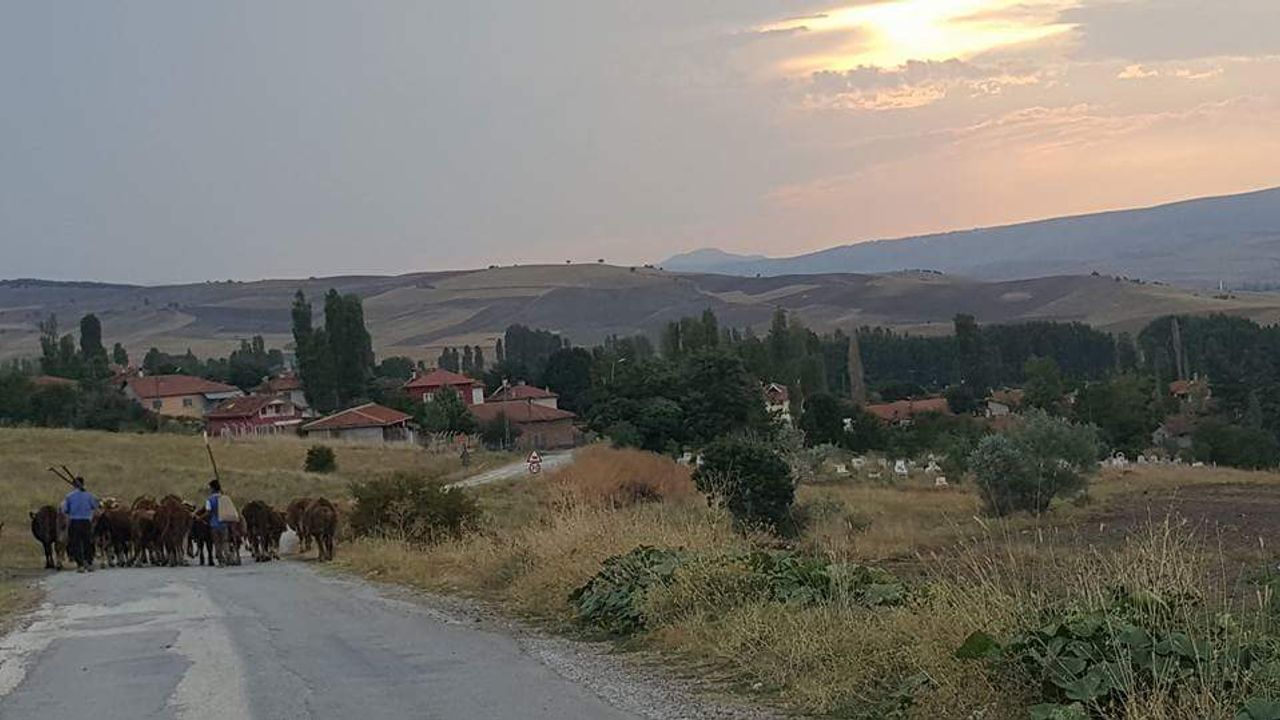 Çorum'un 4 köyünde 1 Haziran'da seçim var! İşte o köyler