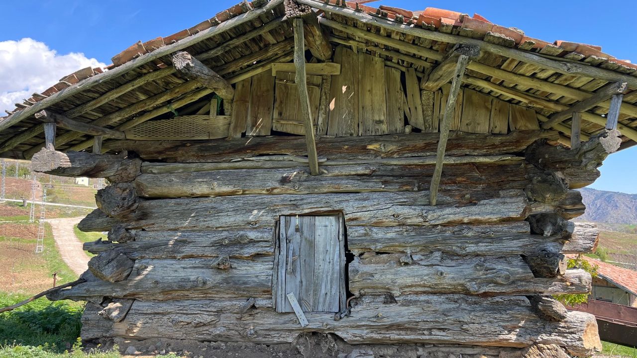 Çivisiz ahşap ambarlar zamana direniyor
