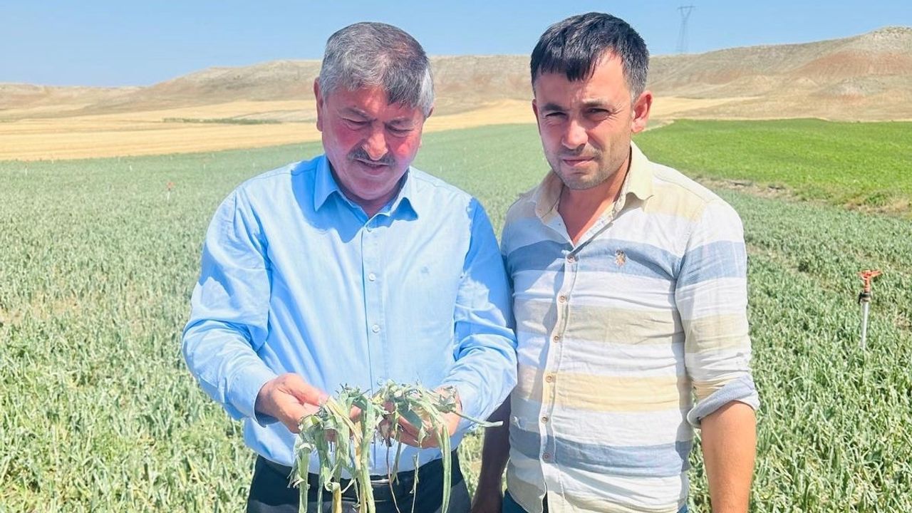 Boyraz: “Çiftçiye sahip çıkılmalıdır”