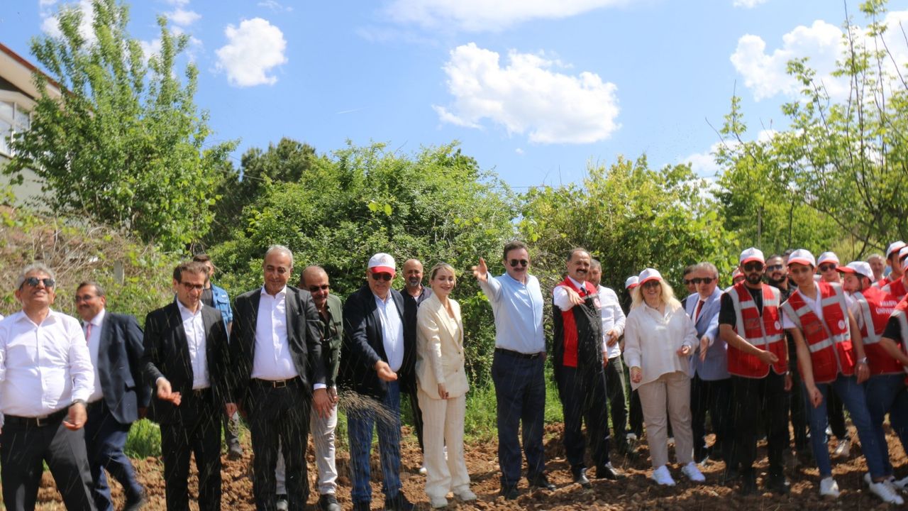 Çorum’da kenevir ekimi yaygınlaşıyor
