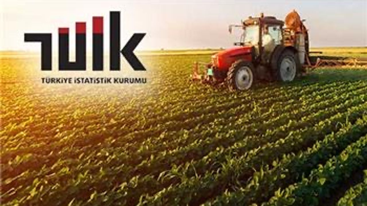Tarım-ÜFE yıllık yüzde 27,50 arttı