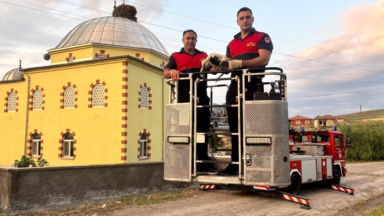 Yavru leyleği itfaiye kurtardı