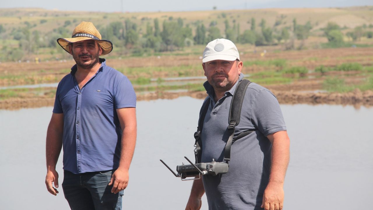 Dronla çeltik ekimi yayılıyor