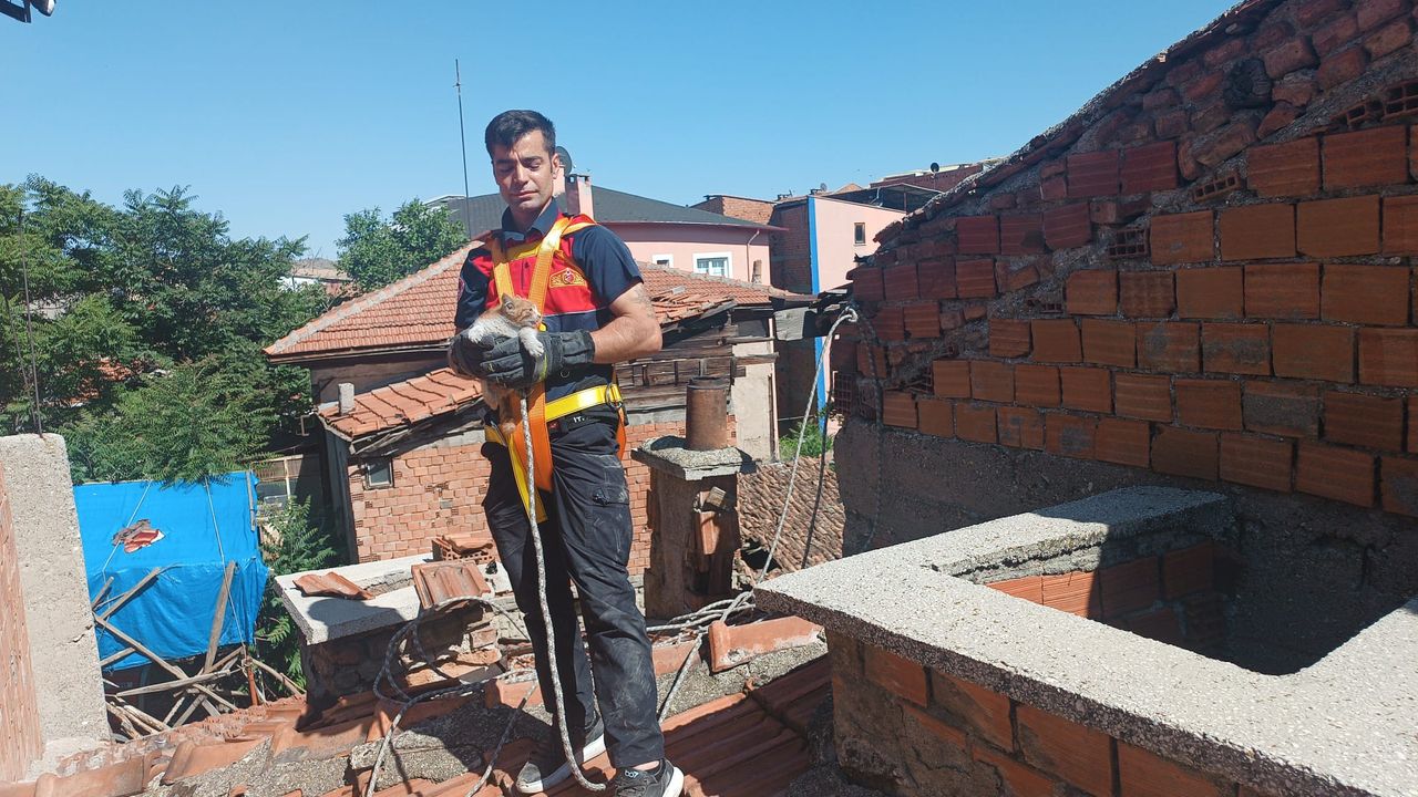 Çorum’da havalandırma boşluğuna düşen yavru kedi kurtarıldı