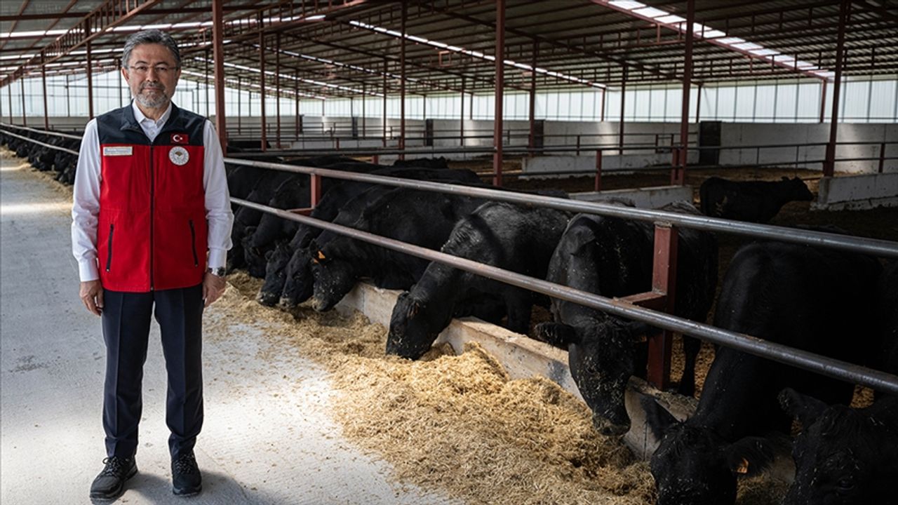 Hayvancılık desteği alacak  4.351 hak sahibi belirlendi