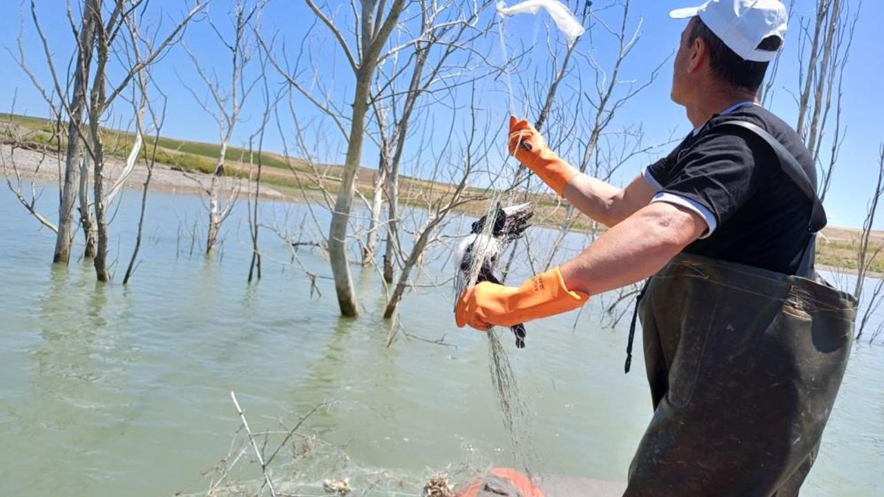 Kaçak avcılara ceza kesildi