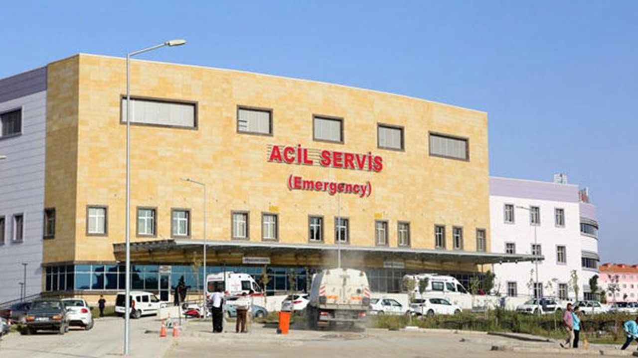 Kene Çorum'da can aldı