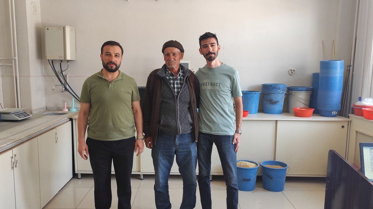 Yılın ilk buğdayı kaç liradan satıldı? Fiyat belli oldu