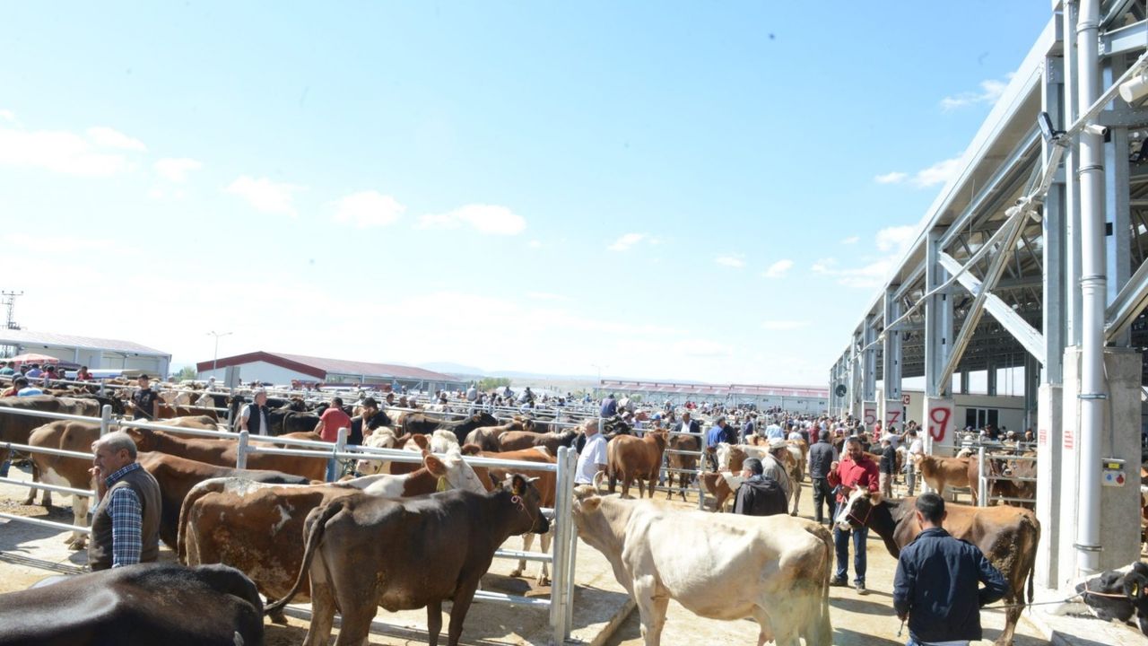 Çorum’da Kurban Bayramı tedbirleri açıklandı