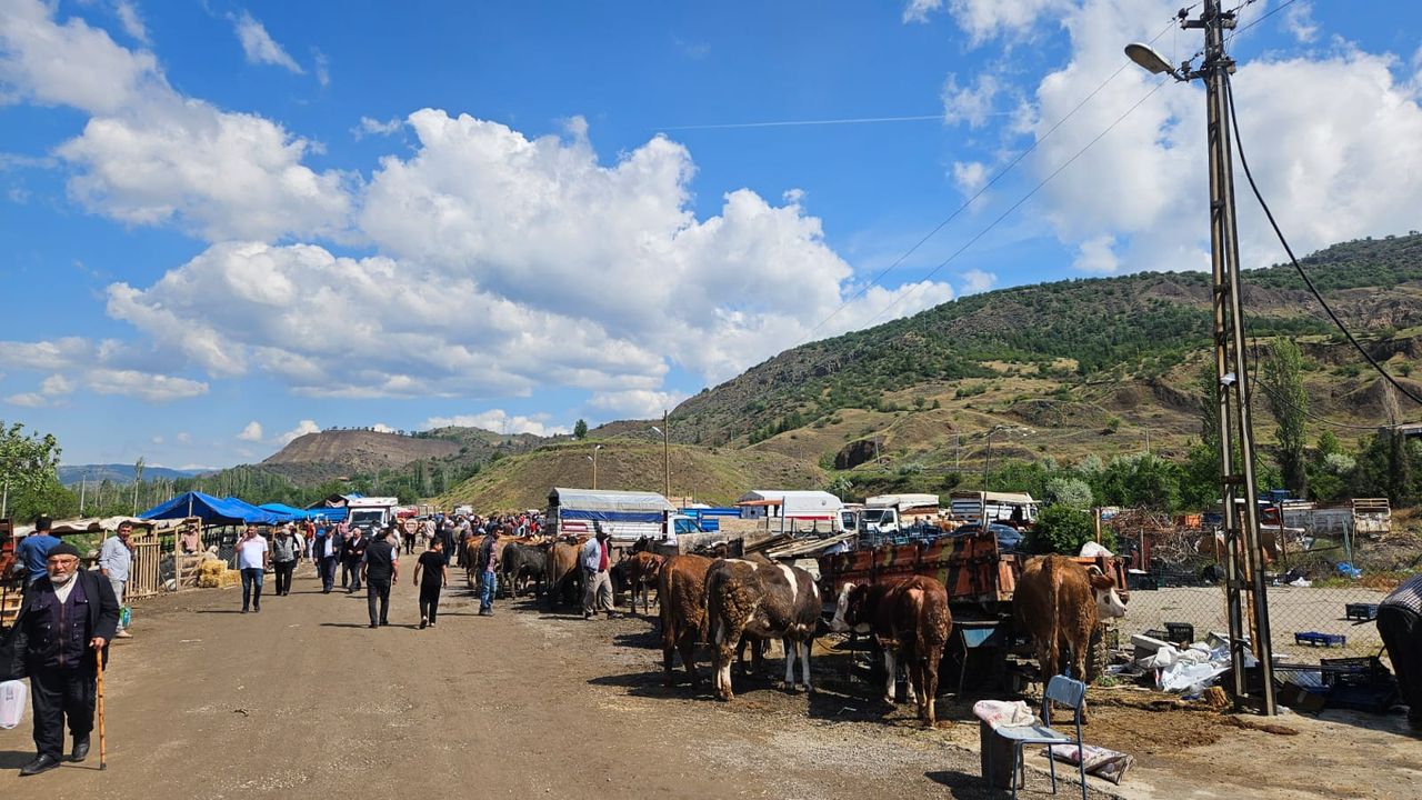 Bayat’ta kurban pazarında  hareketlilik sürüyor