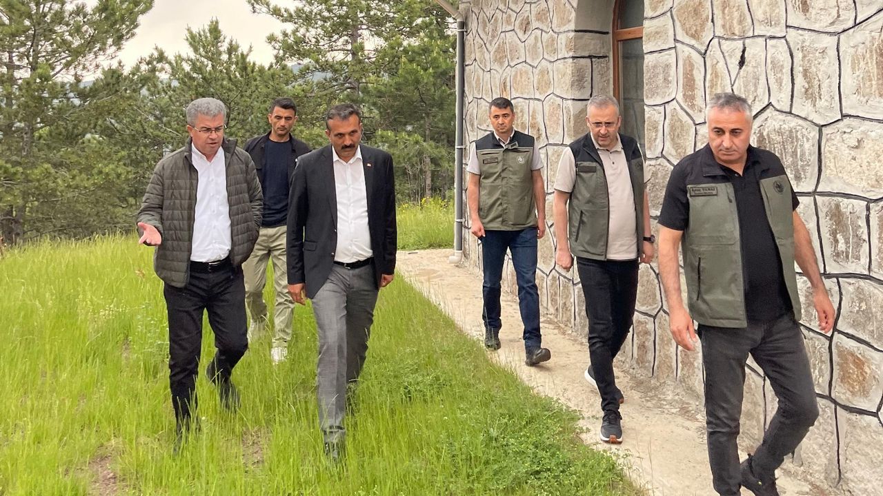 Beyoğlu Yaylası  mesire alanı oluyor