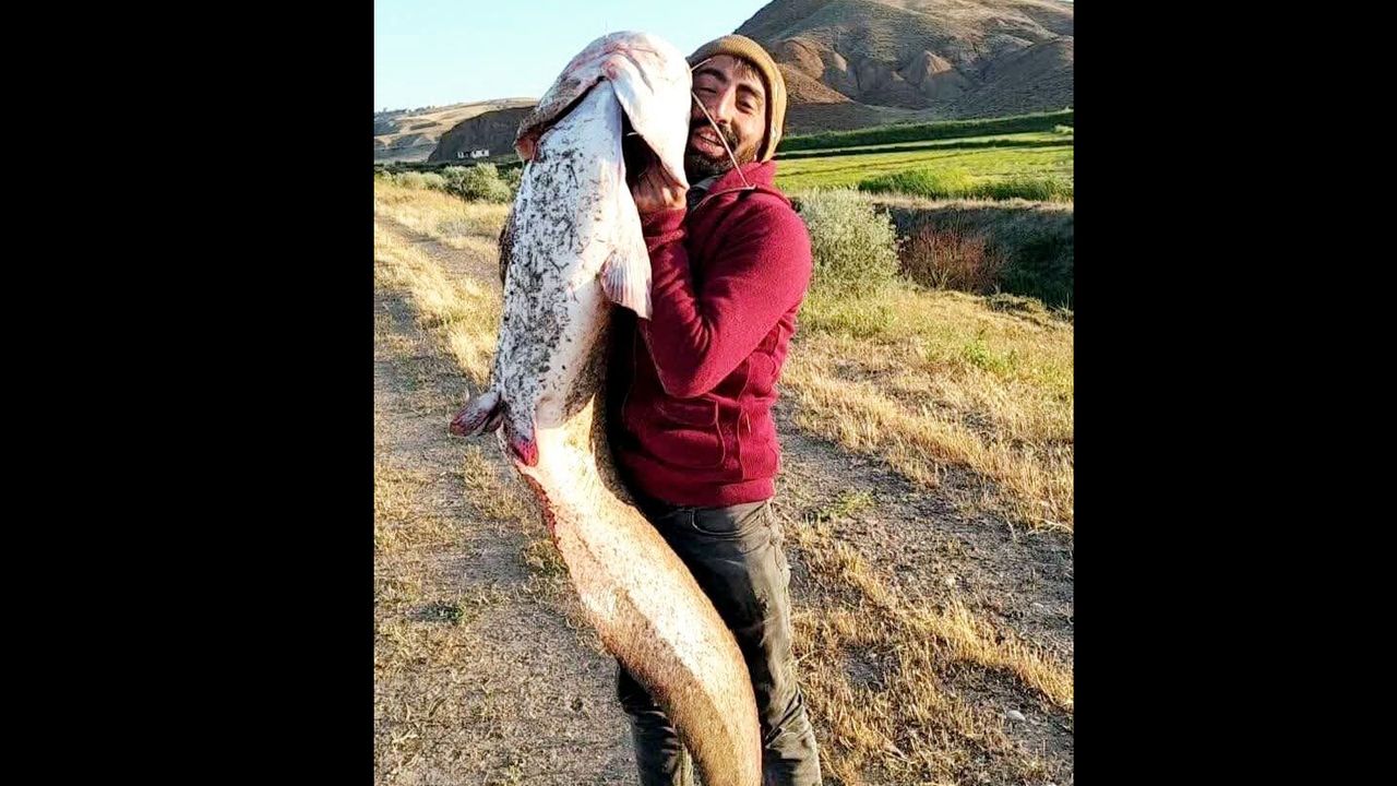 45 kiloluk yayın balığı tuttu