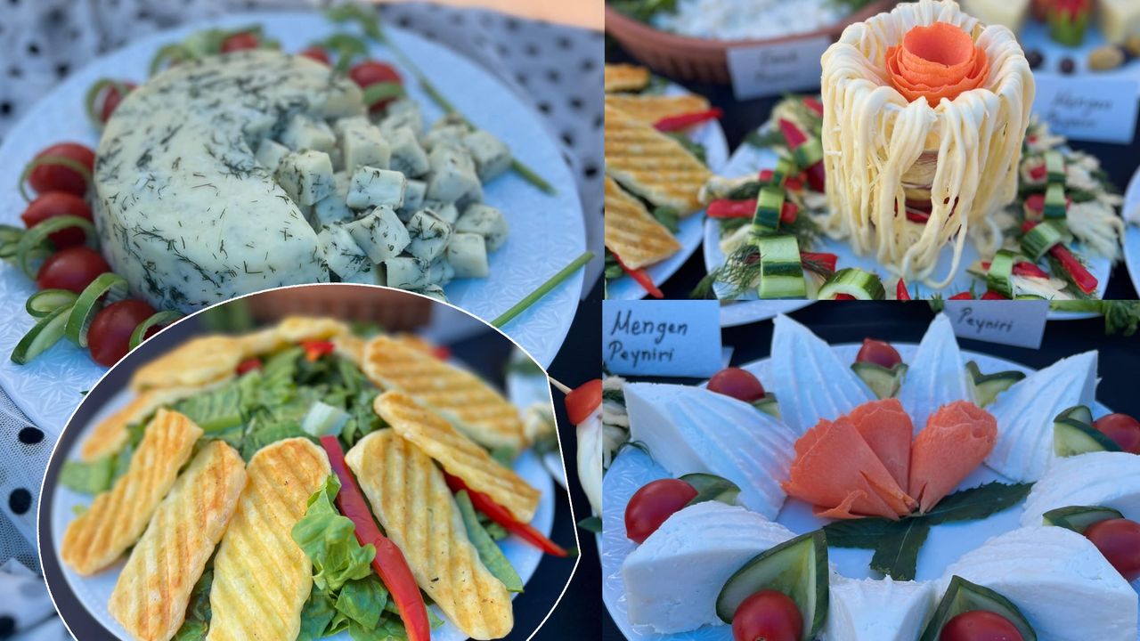 Alaca Halk Eğitim’de  30 çeşit peynir üretimi