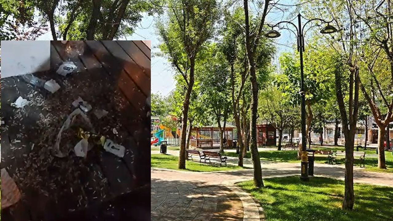 Parka giden vatandaş isyan etti: "İnsan demeye bin şahit lazım!"