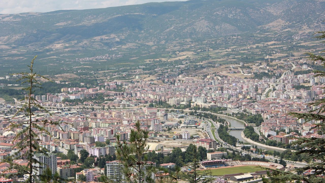 O şehirde keneden bu yıl 999 kişi acile gitti