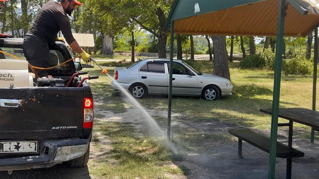 Çorum'da kene mücadelesi