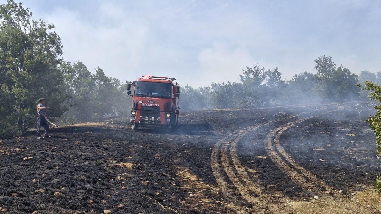 200 dönüm ekili arazi kül oldu