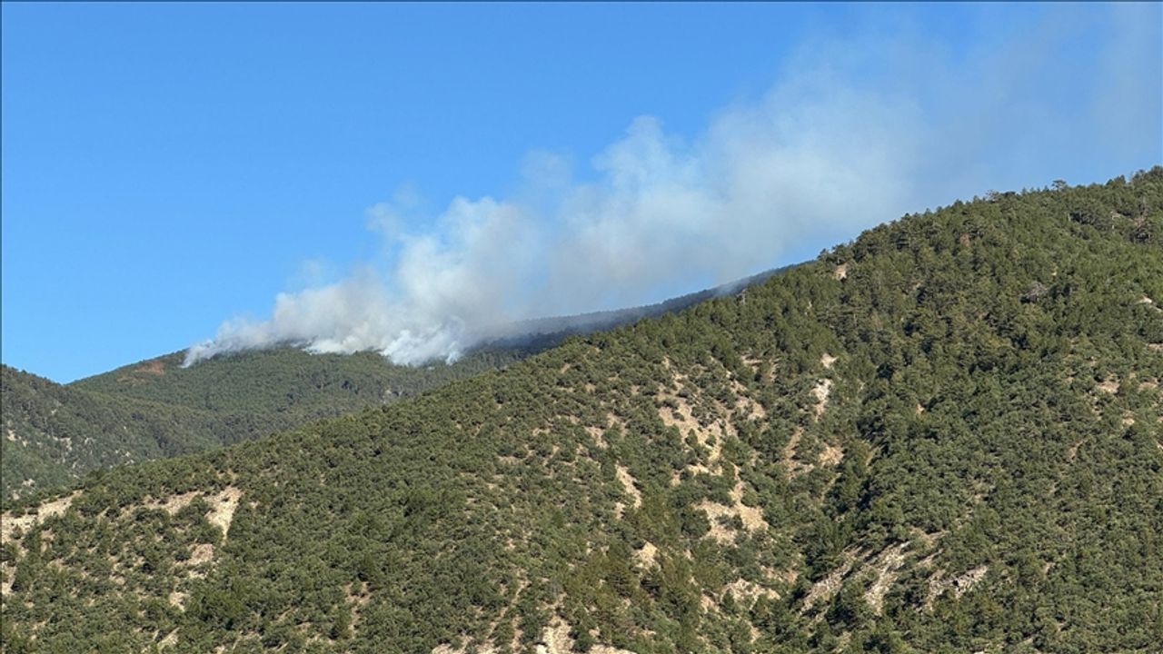 Ilgaz’da çıkan yangın kontrol altına alındı