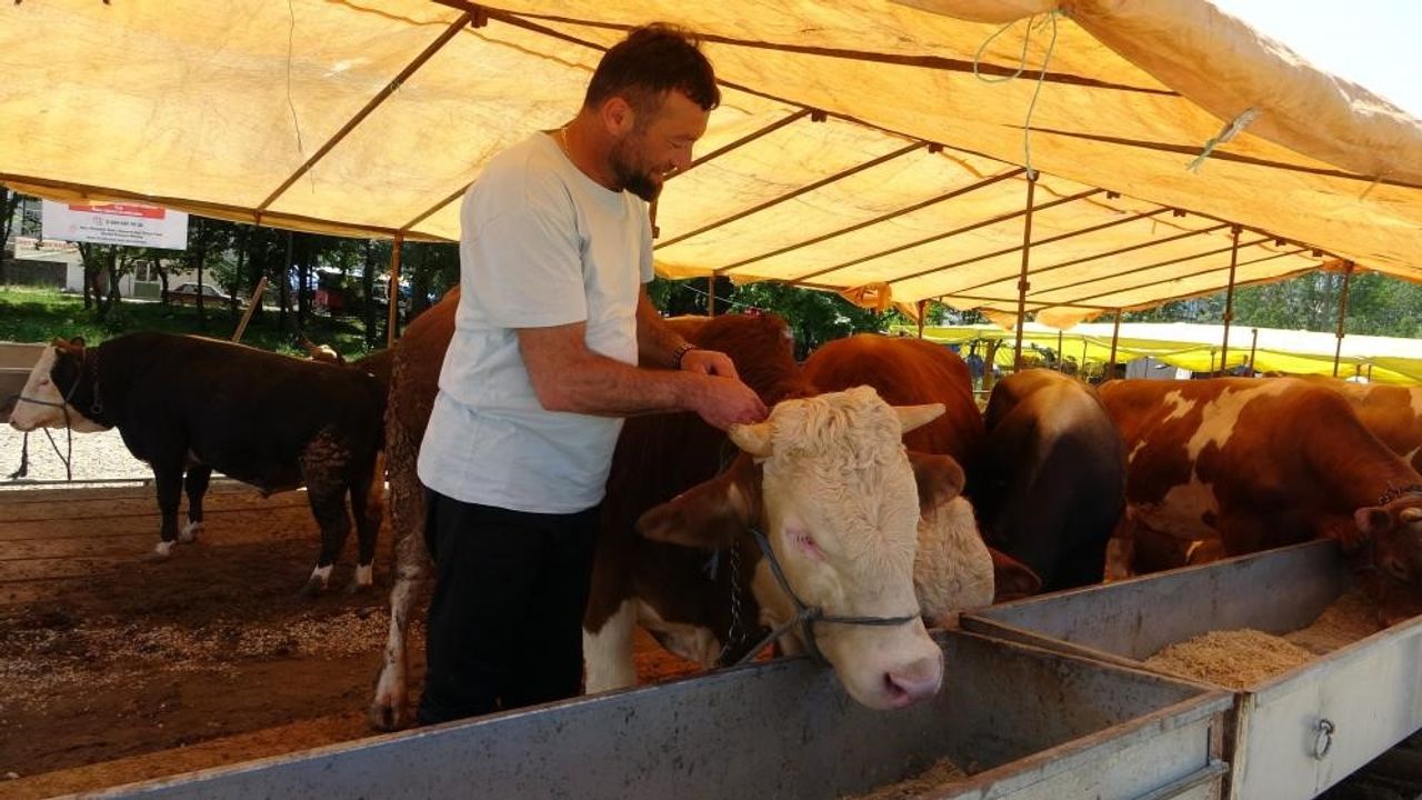Türkiye’de hayvan  pazarları kapatıldı