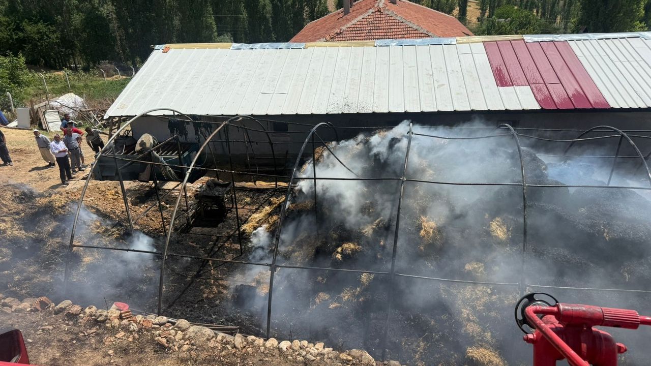 550 balya ot kül oldu