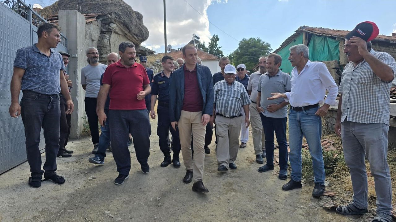 Kaymakam Dinçer  yanan alanı inceledi