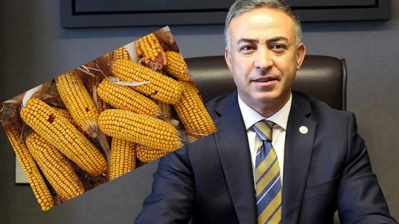 Tahtasız’dan mısır  ithalatına sert tepki