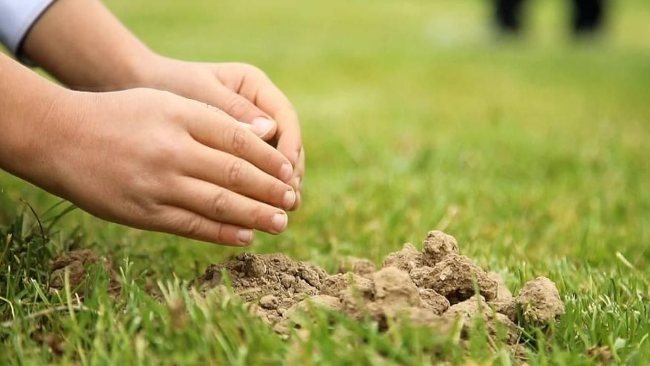 Saadet Partisi’nden “fidan” seferberliği
