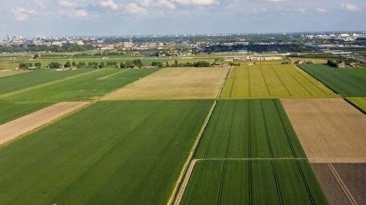 Çorum Belediyesi arsa satıyor