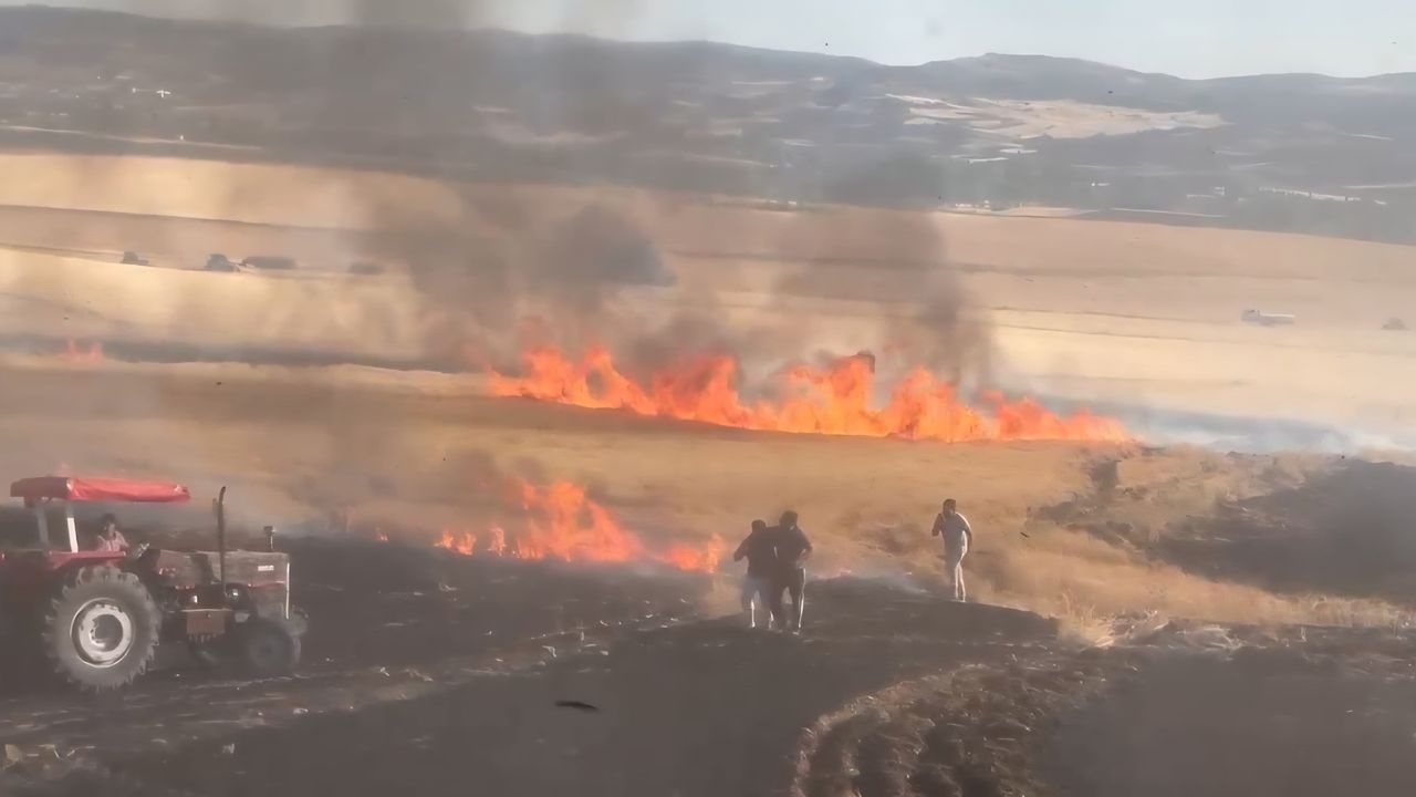 Boğazkale'de 3 bin dönüm buğday tarlası yandı