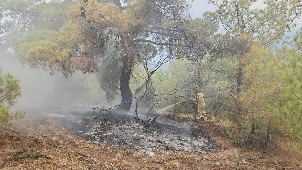 Çorum'da yıldırım düştü