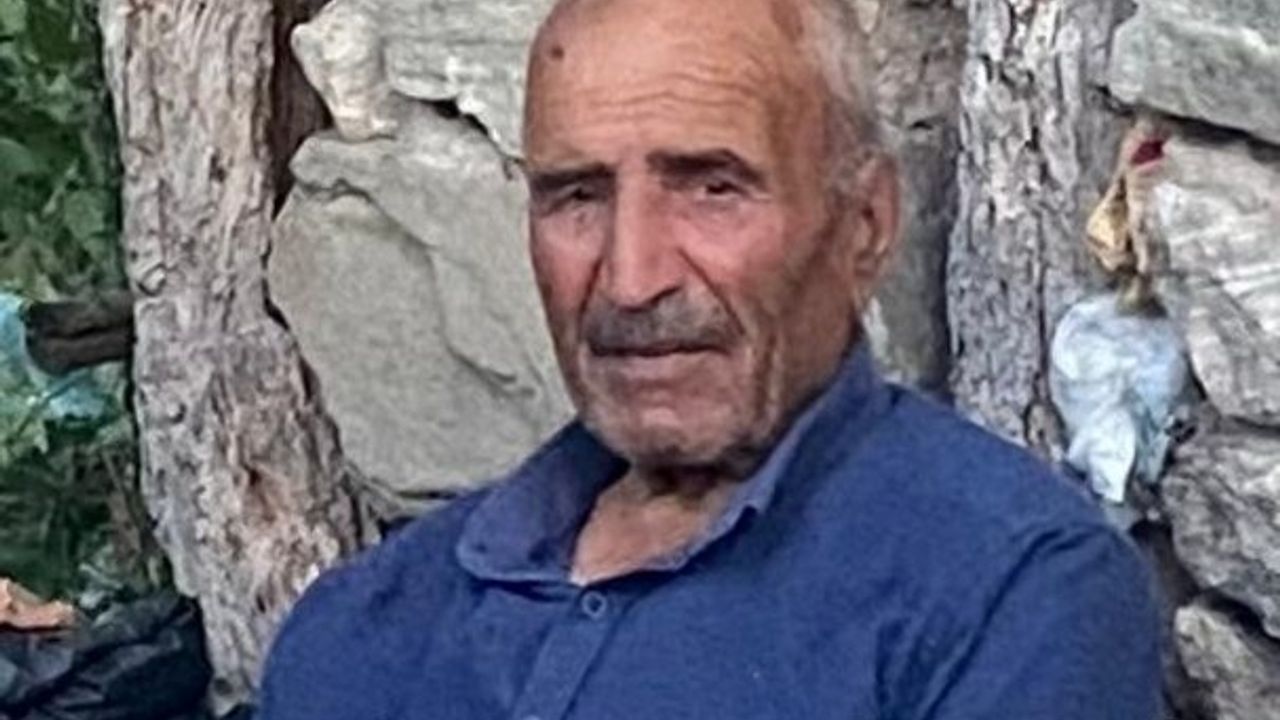 Ali Ergin hayatını kaybetti