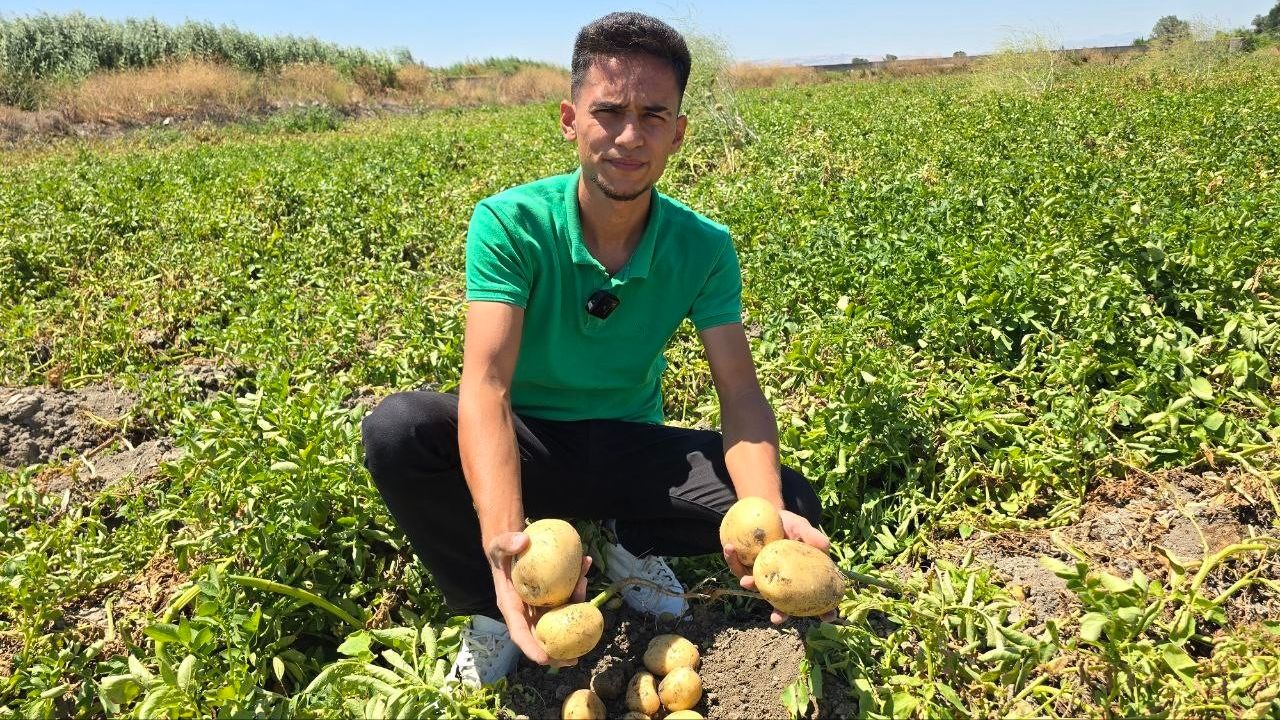 8 ton patatesi halka ücretsiz dağıttı