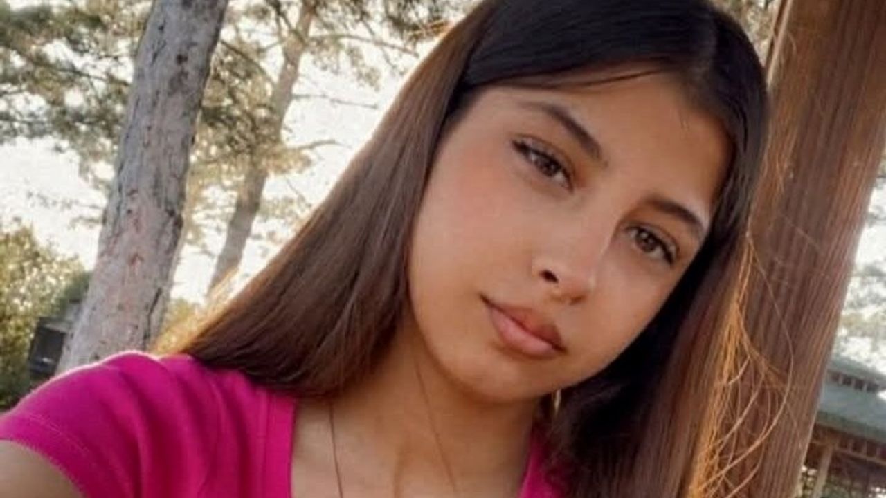 14 yaşındaki Aleyna her yerde aranıyor
