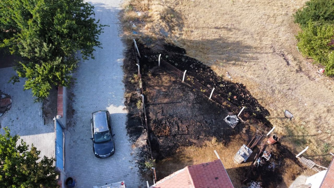 Facianın önüne geçildi