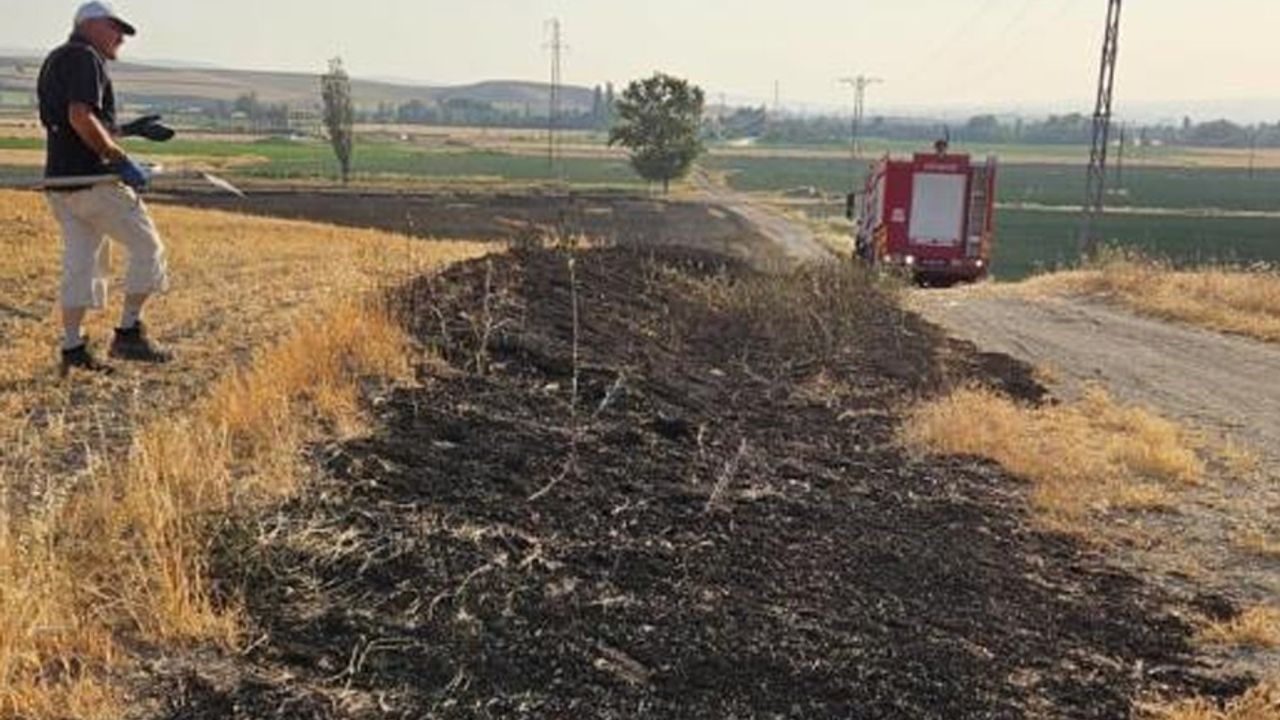 Çorum'da 15 dönüm buğday ekili tarla alevlere teslim oldu
