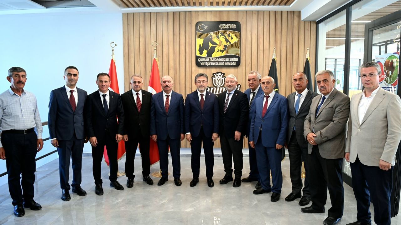 Hayvan Pazarı açılacak
