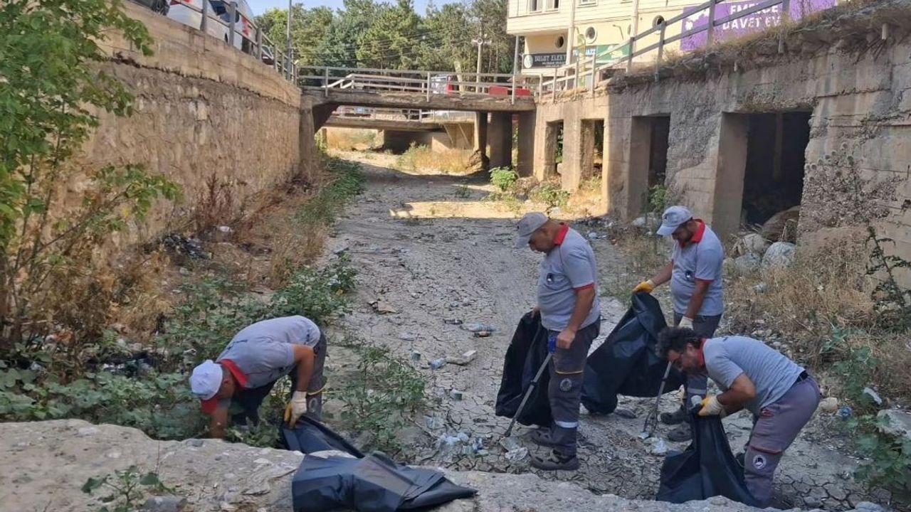 Diğ Çayı temizlendi